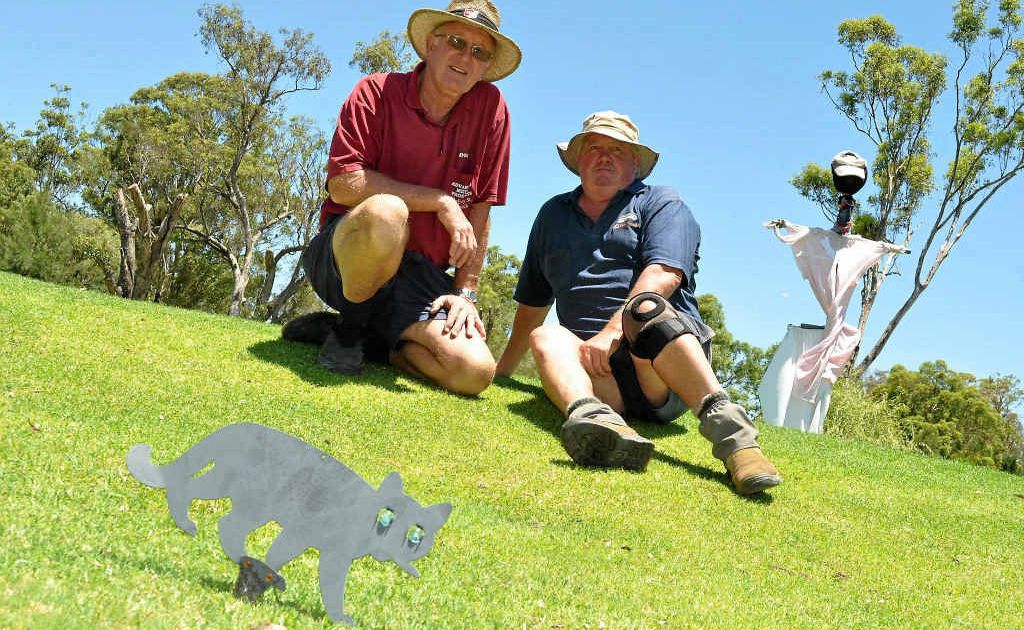 Golf club president Don Stewart with volunteer Mick Payne keep an eye on the greens to scare off corellas. Golf club president Don Stewart with volunteer Mick Payne keep an eye on the greens to scare off corellas.